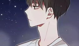 动漫男子,魅力四溢的青春风采