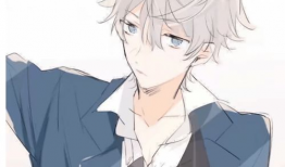 动漫男子,魅力四溢的青春风采