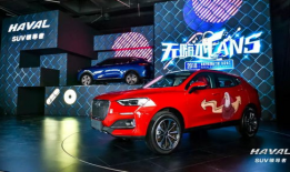 还国产精品,匠心独运，引领潮流